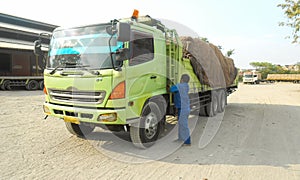 Green colored flatbed heavy trucks used to transport and distribute cements sacks from factory to points of sales or distributors