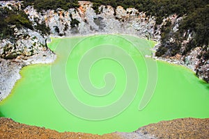 Green colored pond at Wai-O-Tapu Thermal Wonderland near Rotorua, North Island, New Zealand