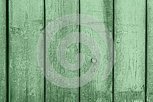 Green colored wood planks texture background. Trendy color of 2020. Wooden boards old style abstract background. Backgrounds and