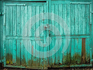 Green colored wooden texture of garage door.