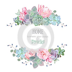 Green colorful succulents vector design round frame.