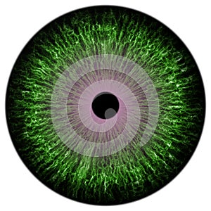 Green colorized eye texture