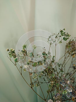 green colour background texture holiday paper  plants trees flowers design