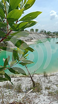 Green colour of Danau Kaolin Koba photo