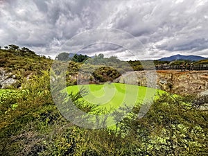 A green-coloured geothermally active lake in the Wai-O-Tapu park in New Zealand