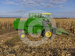 Green combine threshes corn in the field