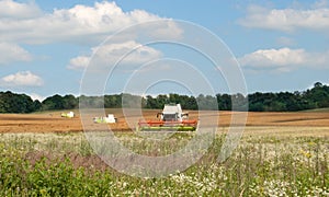 Green combines