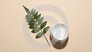 The leaf s glossy texture contrasts with the matte surface of the cup