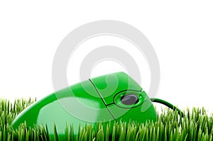 A green computer mouse on grass