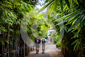 Green concrete walkway with both sides covered with bamboo trees and green leaves