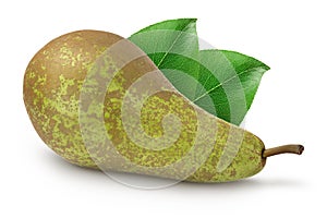 Green conference pear isolated on white background with full depth of field