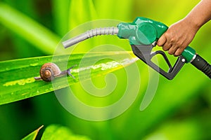Green conservation. Gas pump nozzle and leaf background. Fuel dispenser on nature background.