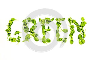 Green copy for greeny smoothy composition with vegetables on white background top view mockup