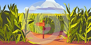 Green corn fields maize plants sandy road cartoon