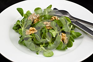 Green corn salad with walnut