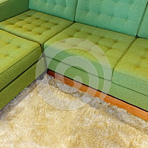 Green corner sofa on fluffy rug