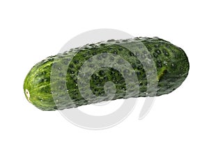 Green cornichon gherkin, isolated on white background