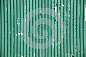Green corrugated iron fencing