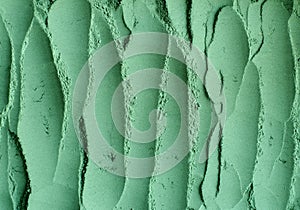 Green cosmetic clay powder kelp facial mask, spirulina body wrap texture close up, selective focus. Abstract background