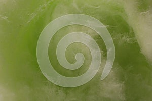 Green cotton candy as background, closeup view