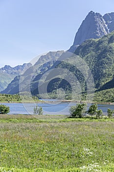 Green country landscape at Sloverfjord, near Laupstad, Norway