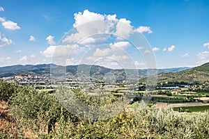 The green countryside in Castiglion Fiorentino, Tuscany