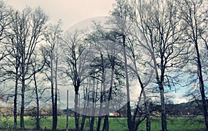 green countryside in Lugo