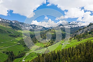 The green countryside and some meadows in the mountains in Europe, in France, towards Beaufort, in the Alps, in summer, on a sunny