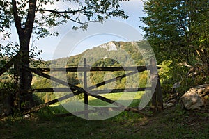 Green countryside with wooden fence and forest