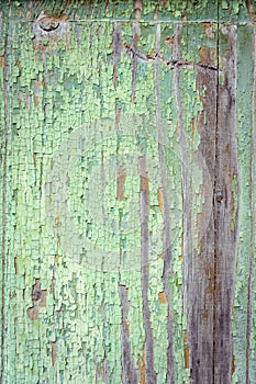 Green cracked old paint on weathered wooden plank texture background