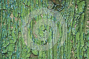 Green cracked paint on wooden surface. Old wooden background of board with cracked and peeling paint