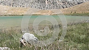 Green crater lake in hot summer day