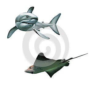 Shark and fish stingray. Isolated realistic illust