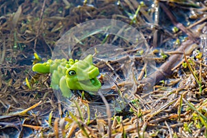 Green crocodile in the swamp. Toy crocodile in the pond