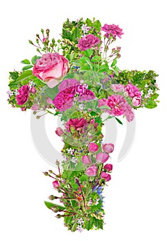 Green cross  with blossom sharp roses  of Jesus in my heart  isolated floral