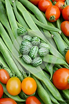 Green cucamelons and red tomatoes on runner beans