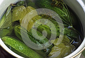 Green cucumber in a bowl