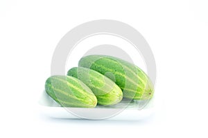 Green cucumber in foam sheet on isolate white background