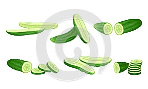 Green Cucumber Sliced Showing Flesh with Seeds Vector Set