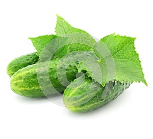 Green cucumber vegetable fruits with leafs