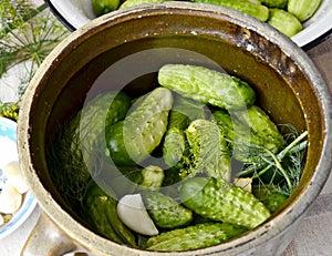 Green cucumbers in pot