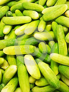 Green, cucumbers, on shelf, supermarket