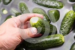 Green cucumbers wash in water in hand