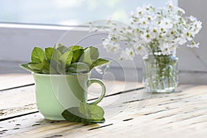 Green cup of melissa officinalis on a wooden table