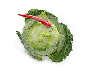 green curled leaves savoy cabbage with a red chili pepper for menu card for vegan vegetarian salad bowls