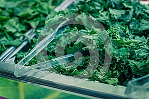 Green curly kale chopped tray with at salad bar with plastic tongs in high-end grocery store in USA