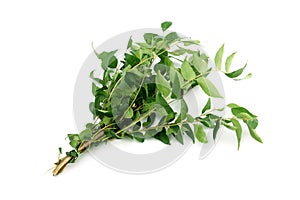 Green curry OR Sweet neem leaves