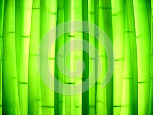 Green curtain or drapery texture for background