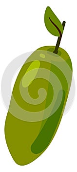 Green curuba, illustration, vector