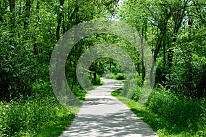 Green Curving Trail at Waterfall Glen Forest Preserve in Suburban Lemont Illinois